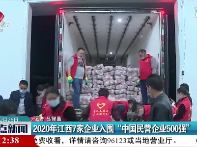 2020年江西7家企业入围“中国民营企业500强”