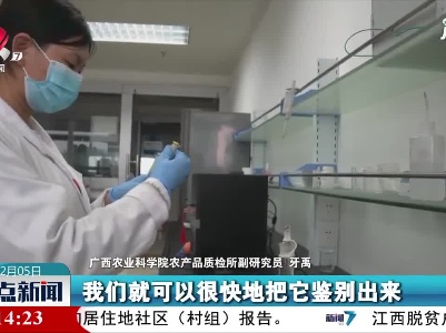 广西研制出辣度快速分析仪
