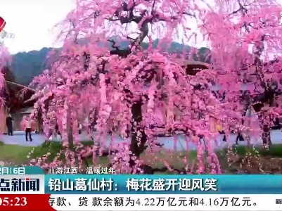 【犇游江西·温暖过年】铅山葛仙村：梅花盛开迎风笑