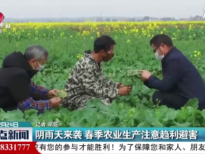 阴雨天来袭 春季农业生产注意趋利避害