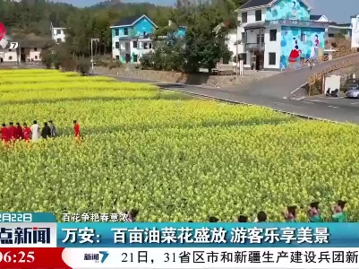 【百花争艳春意浓】万安：百亩油菜花盛放 游客乐享美景