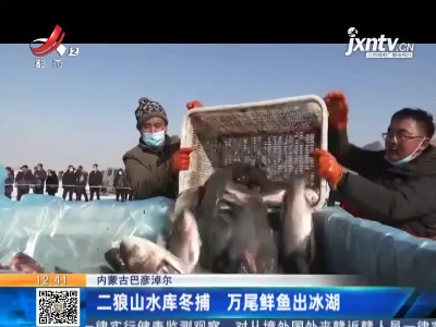 内蒙古巴彦淖尔：二狼山水库冬捕 万尾鲜鱼出冰湖