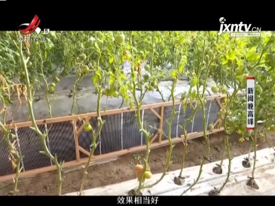 内蒙古：小小石墨烯变脱贫致富大“宝藏”