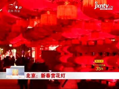 北京：新春赏花灯