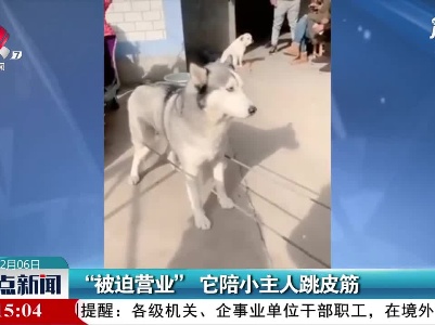安徽：“被迫营业”它陪小主人跳皮筋