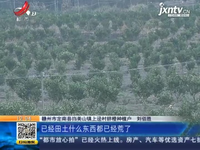 【聚焦“放管服”改革 曝光“怕慢假庸散”】赣州定南：返乡创业种脐橙 村里没网络信号让他发愁