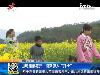 【赣闻天下】赣州瑞金：山坳油菜花开 引来游人“打卡”