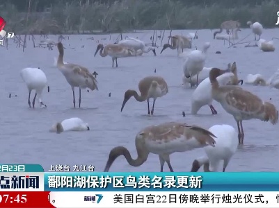 九江：鄱阳湖保护区鸟类名录更新