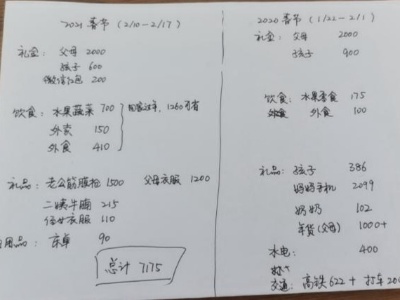 就地过年，不一样的春节账单，你省钱了吗？