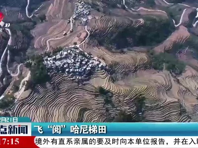 飞“阅”哈尼梯田