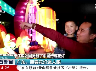 广东：迎春花灯迷人眼