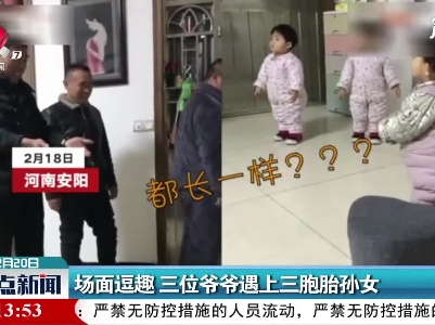 河南：场面逗趣 三位爷爷遇上三胞胎孙女