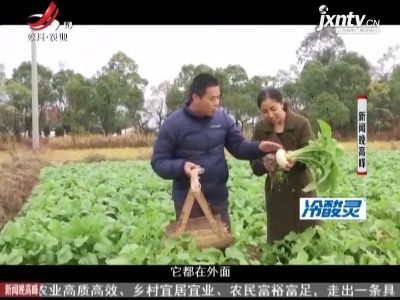 吉安：长在土地上面的“萝卜”