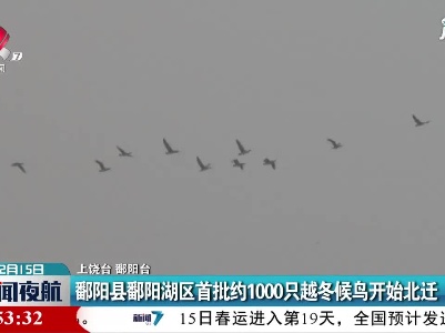 鄱阳县鄱阳湖区首批约1000只越冬候鸟开始北迁