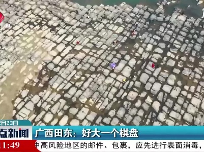 广西田东：好大一个棋盘