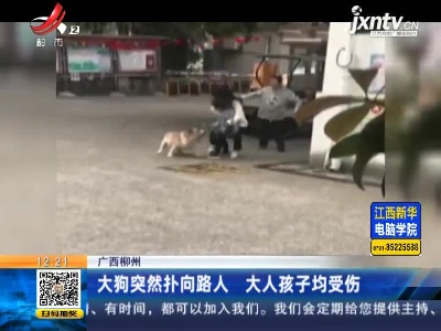 广西柳州：大狗突然扑向路人 大人孩子均受伤