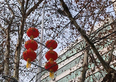 灯笼挂 年味起！九江热热闹闹迎新年！