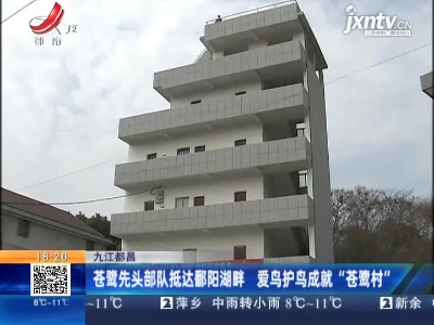 九江都昌：苍鹭先头部队抵达鄱阳湖畔 爱鸟护鸟成就“苍鹭村”