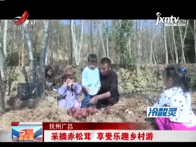 抚州广昌：采摘赤松茸 享受乐趣乡村游