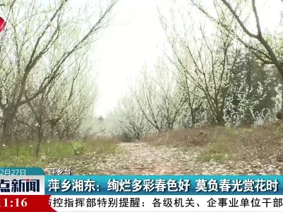 萍乡湘东：绚烂多彩春色好莫负春光赏花时