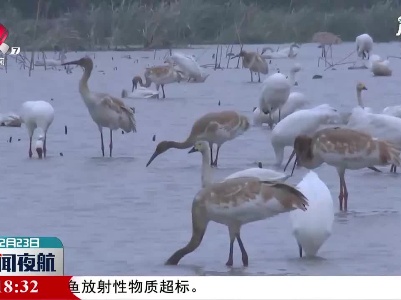 鄱阳湖保护区鸟类名录更新