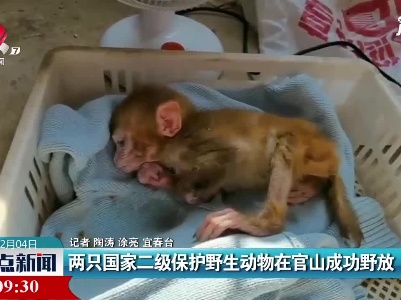 宜春：两只国家二级保护野生动物在官山成功野放