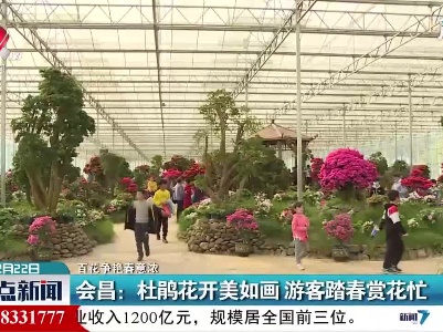 【百花争艳春意浓】会昌：杜鹃花开美如画 游客踏春赏花忙