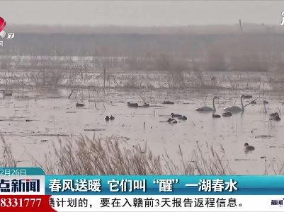 内蒙古：春风送暖 它们叫“醒”一湖春水