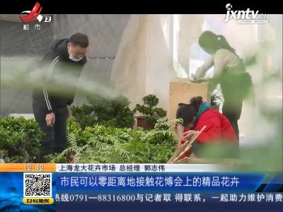 上海：花博会新优花卉亮相 市民可“零距离”接触
