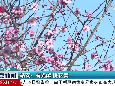 靖安：春光醉 桃花美