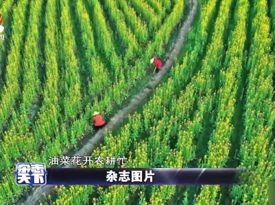 杂志天下20210223