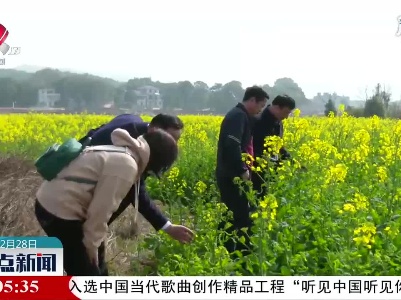 南昌：“稻油”水旱轮作 冬闲田变增收田