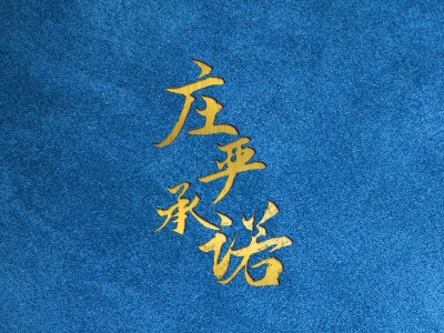 庄严承诺丨脱贫攻坚最后时刻的响鼓重锤