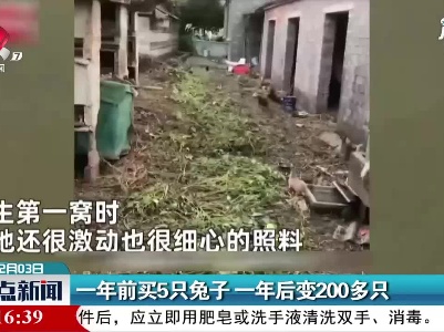 浙江宁波：一年前买5只兔子 一年后变200多只