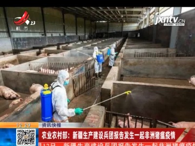 农业农村部：新疆生产建设兵团报告发生一起非洲猪瘟疫情