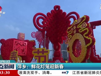萍乡：鲜花灯笼迎新春