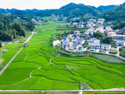 热解读｜从花茂到化屋，总书记关注同一件事
