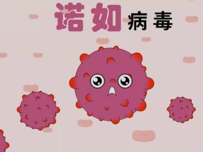 诺如病毒感染！江西一学校停课，所有人员居家隔离三天
