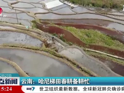 云南：哈尼梯田春耕备耕忙