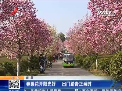 南昌：春暖花开阳光好 出门踏青正当时