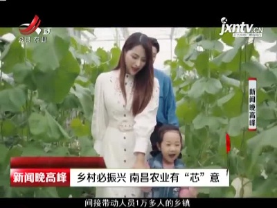 塘南镇：乡村必振兴 南昌农业有“芯”意
