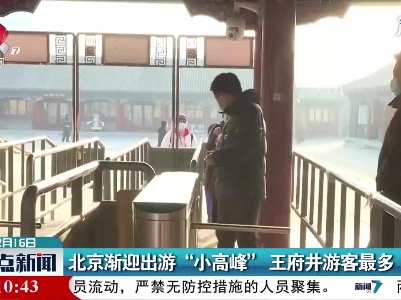 北京渐迎出游“小高峰” 王府井游客最多