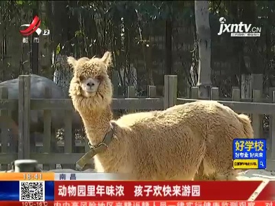 南昌：动物园里年味浓 孩子欢快来游园