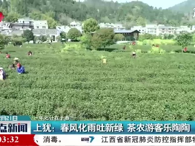【一年之计在于春】上犹：春风化雨吐新绿 茶农游客乐陶陶