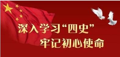 人民论坛网评 | 学好“四史” 走好新发展阶段的长征路