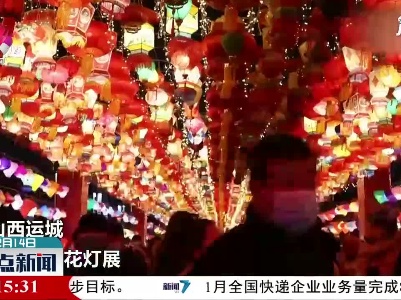 山西运城 赏花灯贺新春