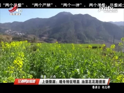 【探春·江西】上饶婺源：暖冬特征明显 油菜花花期提前