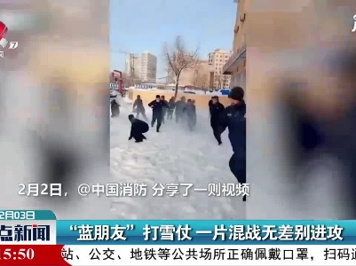 “蓝朋友”打雪仗 一片混乱无差别进攻