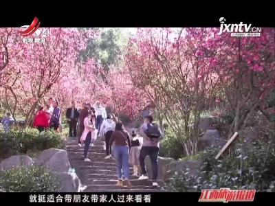 江西旅游报道20210222