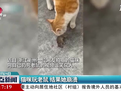 浙江：猫咪玩老鼠 结果她崩溃